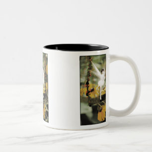 A Swing in the Garden Mug