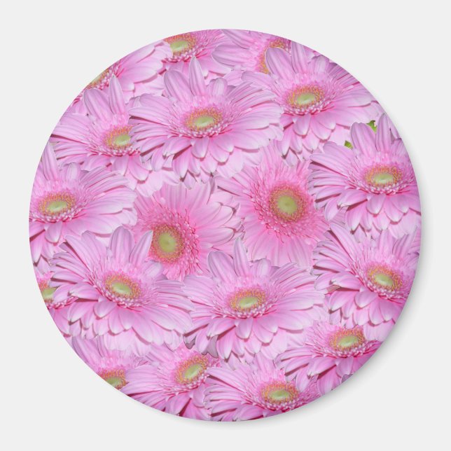 A Symphony of Pink Gerberas, Magnet (Front)
