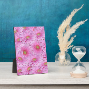 A Symphony of Pink Gerberas, Plaque