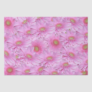 A Symphony of Pink Gerberas, Tissue Paper