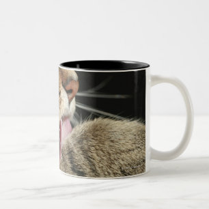 A tabby cat licking his paw. Two-Tone coffee mug
