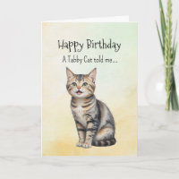 A Tabby Cat Personality Birthday  Animal