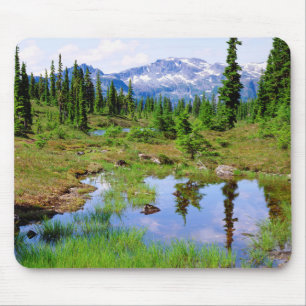 A tarn in the backcountry of Vancouver Island Mouse Pad