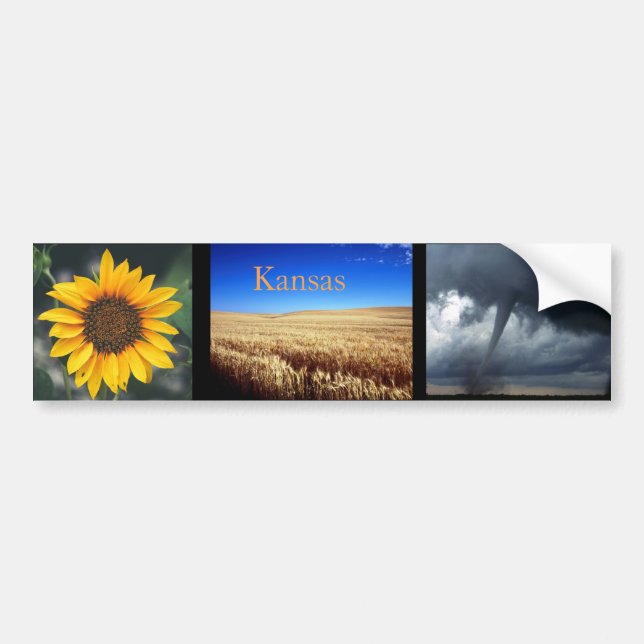 A taste of Kansas Bumper Sticker (Front)