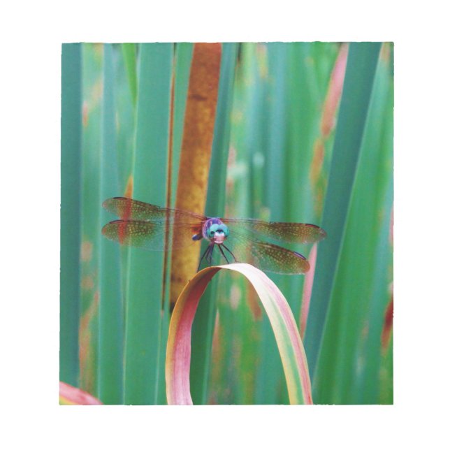 A teal Eyed Dragonfly with cattails Notepad (Front)