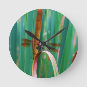 A teal Eyed Dragonfly with cattails Round Clock