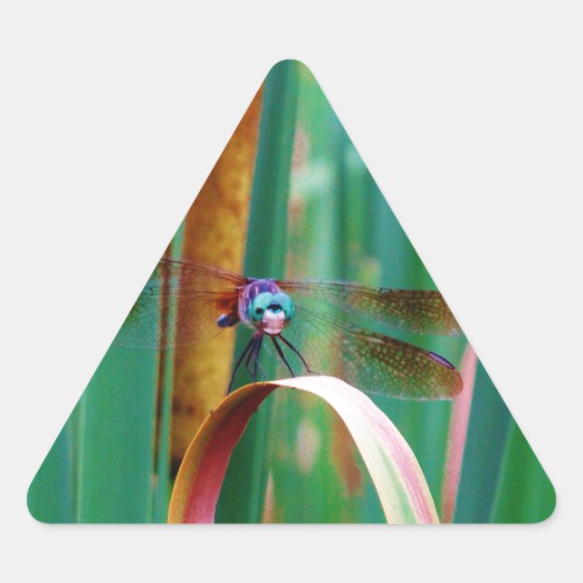 A teal Eyed Dragonfly with cattails Triangle Sticker (Front)