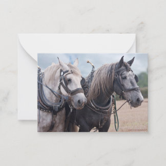 A team of Percheron's  Card