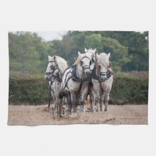 A team of Percheron's Tea Towel