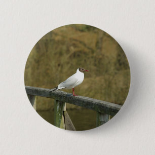 A tern - button