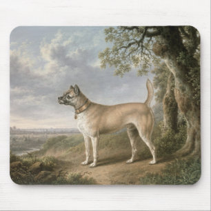 A Terrier on a path in a wooded landscape Mouse Pad