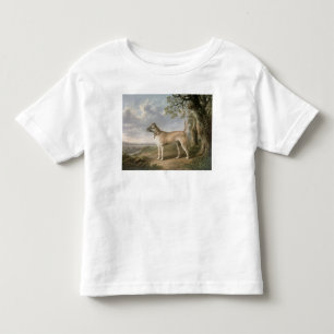 A Terrier on a path in a wooded landscape Toddler T-Shirt