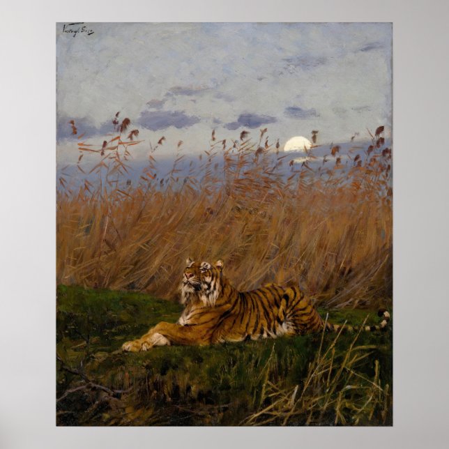 A Tiger Among Rushes In The Moonlight Poster (Front)
