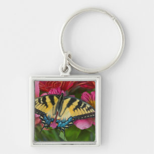 A Tiger Swallowtail Butterfly Key Ring