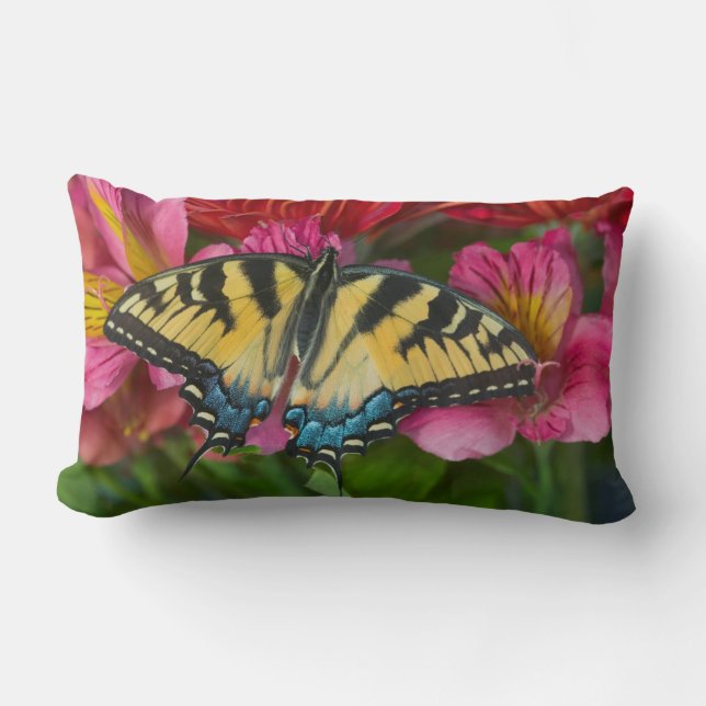 A Tiger Swallowtail Butterfly Lumbar Cushion (Front)
