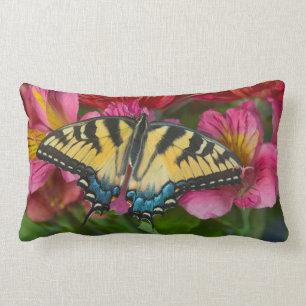 A Tiger Swallowtail Butterfly Lumbar Cushion