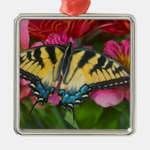 A Tiger Swallowtail Butterfly Metal Ornament