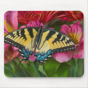 A Tiger Swallowtail Butterfly Mouse Pad