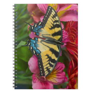 A Tiger Swallowtail Butterfly Notebook