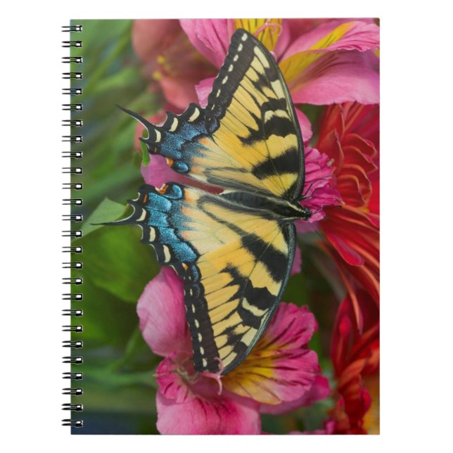 A Tiger Swallowtail Butterfly Notebook (Front)