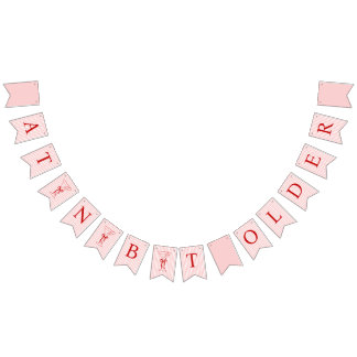 A Tini Bit Older Cute Bow Pink Red Birthday Bunting