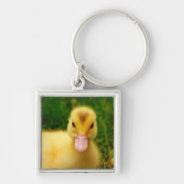 A Tiny Duckling Key Ring (Front)