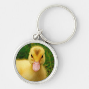 A Tiny Duckling Key Ring