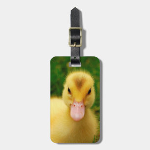 A Tiny Duckling Luggage Tag