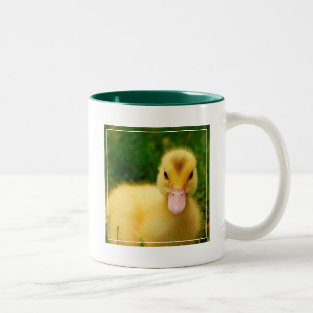 A Tiny Duckling Two-Tone Coffee Mug (Right)