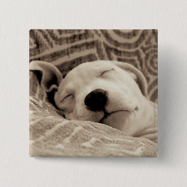 A Tired Dog 15 Cm Square Badge (Front)