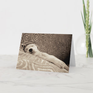 A Tired Dog Card