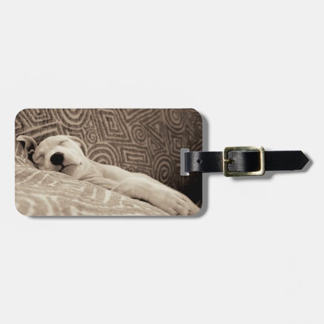A Tired Dog Luggage Tag (Front Horizontal)