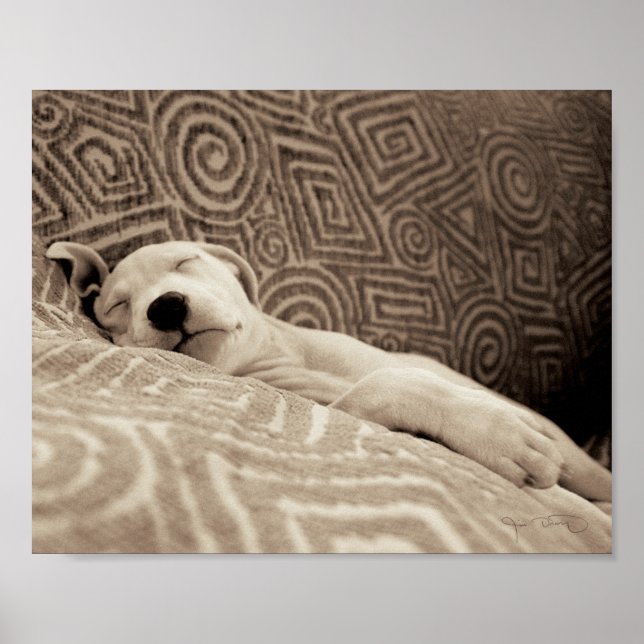 A Tired Dog Poster (Front)
