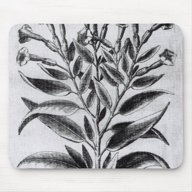A Tobacco Plant, 1622 Mouse Pad (Front)