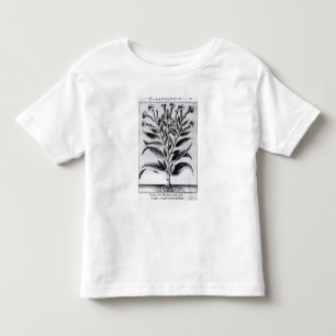 A Tobacco Plant, 1622 Toddler T-Shirt
