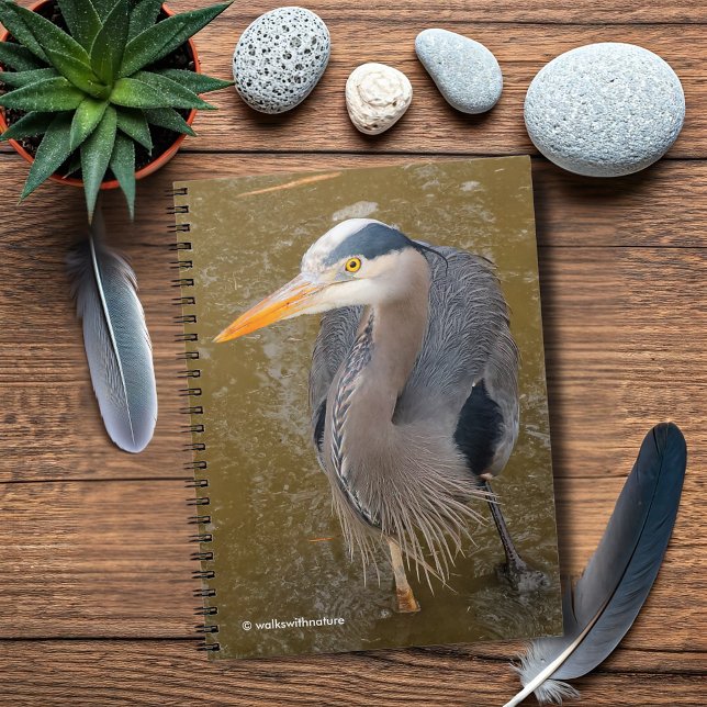 A Top-Down View of a Blue Heron Notebook (Top-Down View of a Great Blue Heron Journal Cover Photo)