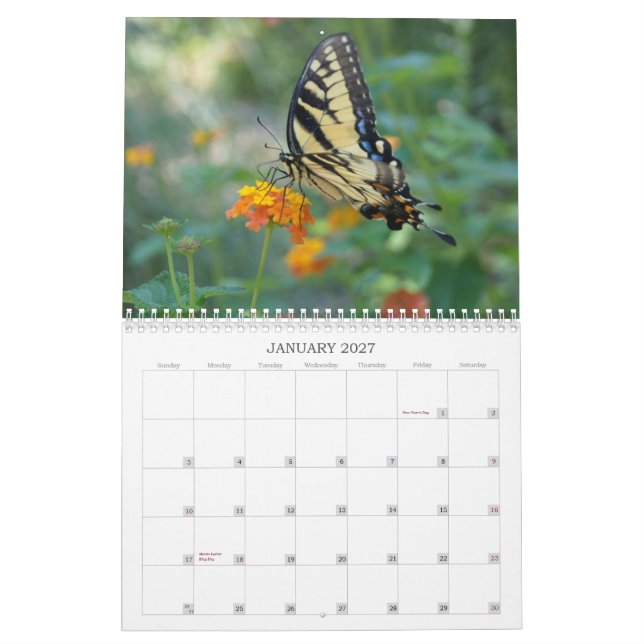 A Touch of the Sun Butterfly Calendar (Jan 2027)