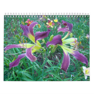 A Touch of the Sun Daylilies Calendar