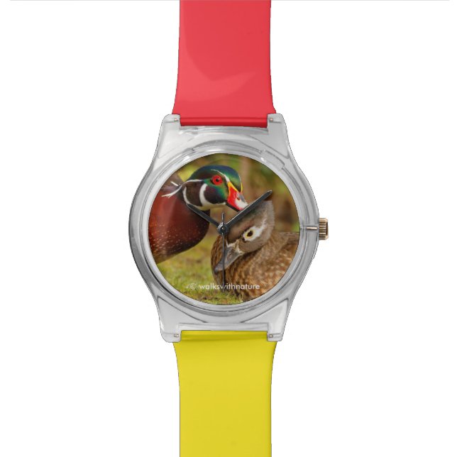 A Touching Moment Between Wood Ducks in the Woods Watch (Close Up)