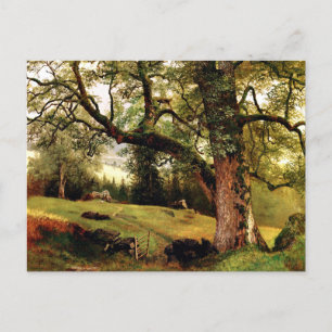 A Trail through the Trees by Albert Bierstadt Postcard