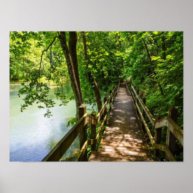 A Tranquil Hike Poster (Front)