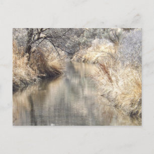 A Tranquil Setting Postcard