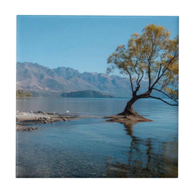 A Tree in a Lake Ceramic Tile (Front)