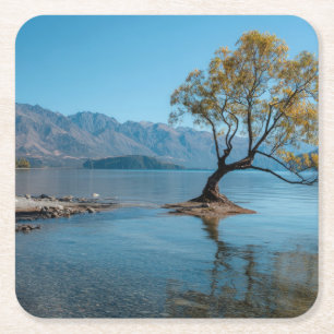 A Tree in a Lake Square Paper Coaster