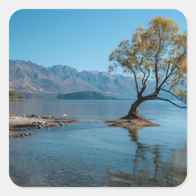 A Tree in a Lake Square Sticker (Front)