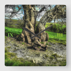 A tree in a pool of light square wall clock