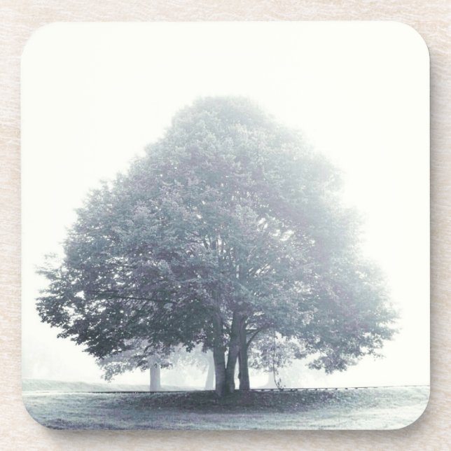 A Tree in Fog Black and White Coaster (Front)