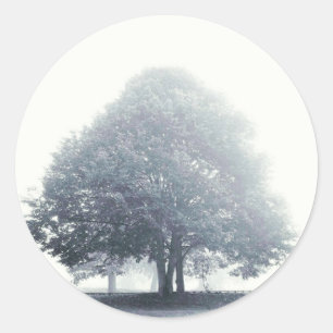A Tree in Fog Classic Round Sticker