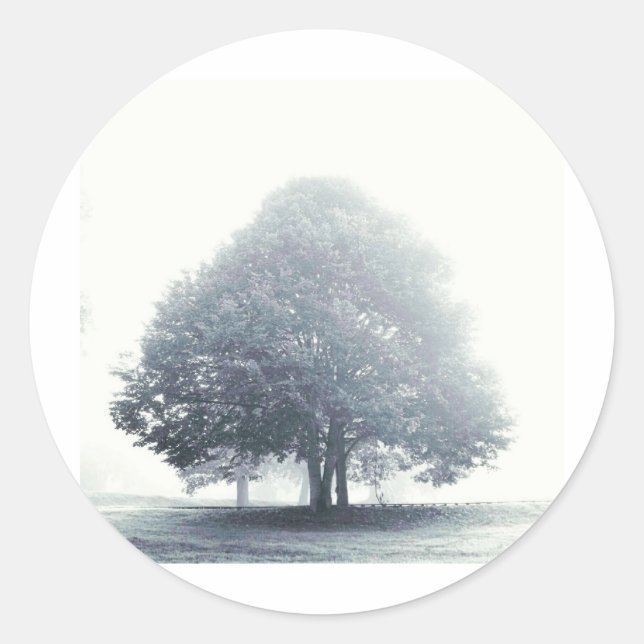 A Tree in Fog Classic Round Sticker (Front)