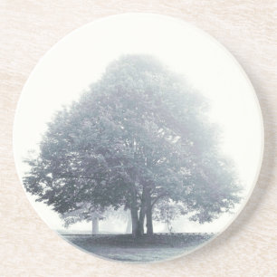 A Tree in Fog Coaster